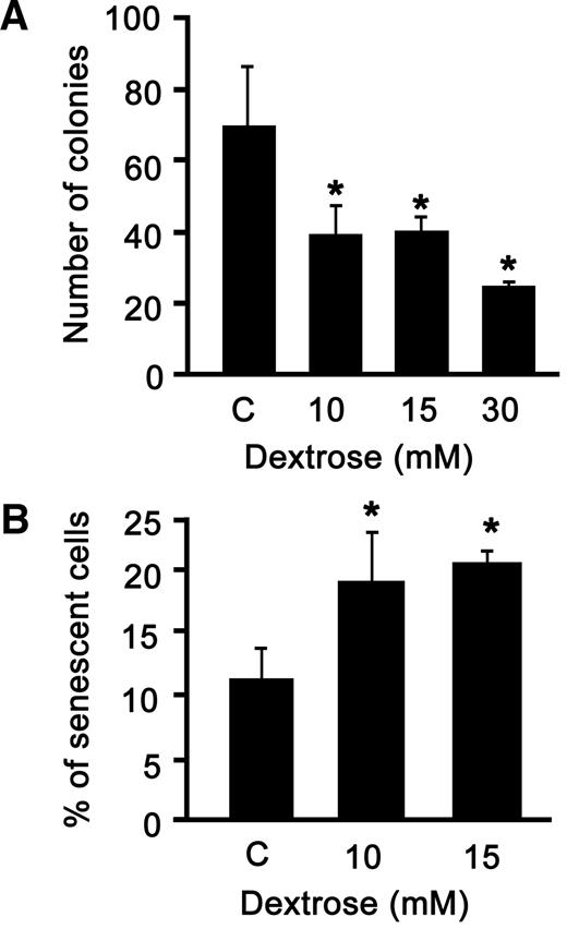 FIG. 1. A and B: Hyperglycemia reduces cord blood ECFC clonogenic capacity via senescence. A: Number of ECFC-forming colonies 7 days after dextrose treatment. Results represent the mean ± SE, n = 4, *P < 0.03 for dextrose-treated versus the untreated control (C) by Student's t test. B: Percentage of ECFCs that stained positively for SA-β-gal 7 days after dextrose treatment. Results represent the mean of three independent experiments ± SE; *P < 0.05 for dextrose-treated versus control by Student's t test.