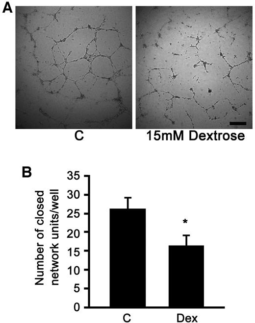 FIG. 2. A and B: Hyperglycemia reduces in vitro capillary formation. A: Representative photomicrographs of ECFCs after plating on Matrigel. Results are representative of three independent experiments. Scale bar represents 200 μm. B: Quantitation of capillary vessel density of control ECFCs (C) or ECFCs treated with 15 mmol/l dextrose (Dex). Data are means ± SE, n = 3. *P < 0.05 by Student's t test.