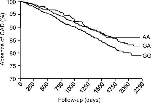 FIG. 1. Kaplan-Meier survival (disease-free) curves for the DIABHYCAR cohort during follow-up according to genotype. Survival (y) axis represents absence of CAD defined as myocardial infarction, CABG, or sudden death. The cumulated incidence of CAD can be computed as (100% − survival).
