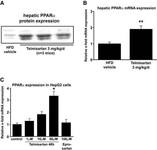 FIG. 5. Telmisartan induces PPARα expression in vivo and in vitro. A: PPARα protein expression from liver protein extracts of HFD-fed mice treated with telmisartan or vehicle control. A representative Western immunoblot is shown. B: PPARα mRNA expression in livers from telmisartan- and vehicle-treated HFD animals. **P < 0.01 vs. HFD vehicle-treated control. C: PPARα mRNA induction by telmisartan in HepG2 cells. Cells were incubated for 48 h with 1, 10, and 50 μmol/l telmisartan, 100 μmol/l eprosartan, or vehicle. *P < 0.05 vs. vehicle control. Results are presented as x-fold induction over vehicle-treated mice/cells. Means ± SE is shown.