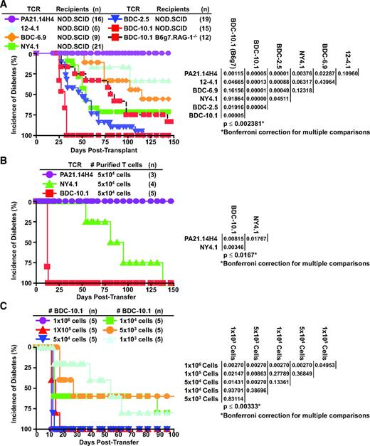 FIG. 5. Diabetes incidence in TCR Rg NOD.scid mice. A: NOD.scid and B6.g7.RAG-1−/− TCR retrogenic mice were monitored for diabetes onset for 140 days. B: GFP+CD4+TCRβ+ cells were FACS purified from BDC-10.1, NY4.1, and PA21.14H4 NOD.scid Rg mice 28 days posttransplant, adoptively transferred into NOD.scid recipient mice, and monitored for diabetes. C: A titration of purified BDC-10.1 NOD.scid Rg T-cells were transferred into NOD.scid mice and monitored for diabetes. The tables of P values on the right were generated using the log-rank test both overall and pairwise within each experiment. The P value was based at the 0.05 significance level using the Bonferroni adjustment for multiple comparisons.