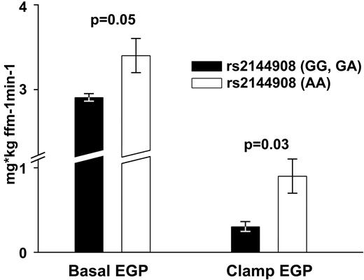 FIG. 1. The AA genotype of the rs2144908 HNF-4α polymorphism was associated with increased basal EGP (3.4 ± 0.2 vs. 2.9 ± 0.05 mg · kg−1 FFM · min−1, P = 0.05) (P = 0.05) and clamp EGP (0.9 ± 0.2 vs. 0.3 ± 0.06 mg · kg−1 FFM · min−1, P = 0.04) (P = 0.03) compared with individuals with the GG/GA genotypes. Analysis was adjusted for age and BMI, and the level of glucose homeostasis was dichotomized as non–type 2 diabetes and type 2 diabetes.