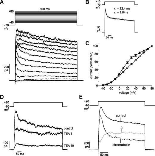 FIG. 1. Voltage-gated K+ currents in β-cells. A: K+ currents recorded during depolarizations to potentials between −40 and +80 mV (in 10-mV steps). B: An exponential fit of the current decay using the time constants (τ) shown is superimposed on the current (same experiment as A). C: I-V relationship for peak (•) and sustained (○) (measured at the end of 500-ms depolarizations) current (n = 23). The currents are expressed as percent of the responses at +80 mV. D: Voltage-gated K+ currents recorded under control conditions and in the presence of 1 or 10 mmol/l TEA. E: Voltage-gated K+ currents recorded in the absence and presence of 100 nmol/l stromatoxin. The gray trace represents the difference current (Δ).