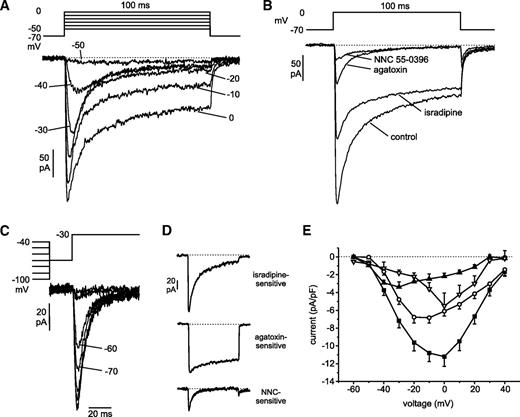 FIG. 5. Voltage-gated Ca2+ currents. A: Ca2+ currents elicited by depolarizations to voltages between −50 and 0 mV. B: Effect of the sequential application of isradipine (10 μmol/l), ω-agatoxin IVA (200 nmol/l), and NNC 55-0396 (1 μmol/l). Isradipine was present in all blocker-containing solutions, while ω-agatoxin was applied only temporarily as its effects showed no reversibility upon washout. C: Steady-state inactivation of T-type Ca2+ currents measured with a two-pulse protocol, consisting of a test pulse to −30 mV preceded by a 500-ms conditioning pulse to voltages between −100 and −40 mV. The T-type Ca2+ current was isolated by blocking L- and P/Q-type Ca2+ currents. The responses obtained after conditioning pulses to −70 and −60 mV are indicated by lines. D: L-, P/Q-, and T-type Ca2+ currents obtained by subtracting currents recorded in the presence of isradipine, ω-agatoxin IVA, and NNC 55-0396 from currents observed in the absence of the respective antagonist. E: Current-voltage relationship for total Ca2+ current (▪), L-type (○) (isradipine sensitive), P/Q-type (▿) (ω-agatoxin sensitive), and T-type (▴) (NNC 55-0396 sensitive) Ca2+ currents (n = 5–13).
