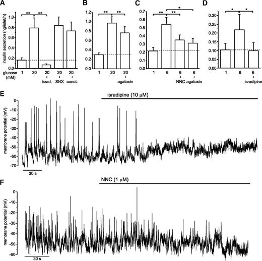 FIG. 6. Effects of Ca2+ channel blockers on insulin secretion and electrical activity. A–D: Effects of isradipine (10 μmol/l), SNX482 (0.1 μmol/l), ω-conotoxin GVIA (0.1 μmol/l), ω-agatoxin IVA (0.2 μmol/l), and NNC55-0396 (1 μmol/l) on insulin secretion at the indicated glucose concentrations. A: n = 9; B: n = 13; C: n = 7–9; D: n = 9. *P < 0.05; **P < 0.01. E and F: Effects of isradipine (E) and NNC 55-0396 (F) on electrical activity elicited by 20 mmol/l glucose (E) or 10 mmol/l glucose supplemented with 0.1 mmol/l tolbutamide (F).