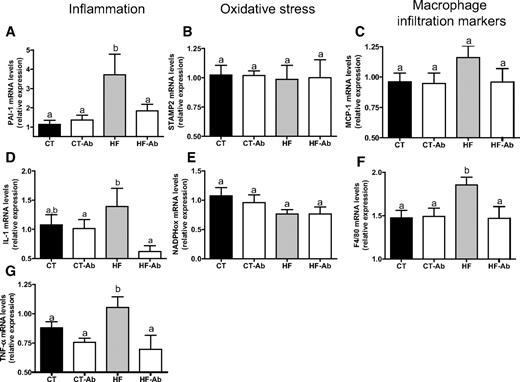FIG. 3. Antibiotic treatment reduced the occurrence of subcutaneous adipose tissue inflammation and macrophage infiltration markers in high-fat diet–fed mice. Inflammation: PAI-1, IL-1, and TNF-α mRNA concentrations (A, D and G); oxidative stress: STAMP-2 and NADPHox mRNA concentrations (B and E); macrophage infiltration markers: MCP-1 and F4/80 mRNA concentrations (C and F) in mice fed normal diet (CT), normal diet and antibiotics (CT-Ab), high-fat diet (HF), or high-fat diet and antibiotics (HF-Ab) for 4 weeks. Data are means ± SE. Data with different superscript letters are significantly different (P < 0.05) according to the post hoc ANOVA statistical analysis.