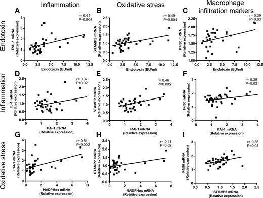 FIG. 4. Metabolic endotoxemia positively correlated with inflammation, oxidative stress, and macrophage infiltration markers. Correlations between plasma endotoxin (LPS, EU/ml) and PAI-1 (A), STAMP2 (B), and F4/80 (C) mRNA concentrations; correlations between PAI-1 mRNA concentrations and IL-1 (D), STAMP2 (E), and F4/80 mRNA (F) concentrations; correlations between NADPHox mRNA concentrations and PAI-1 (G), STAMP2 (H), and F4/80 mRNA (I) concentrations in the visceral adipose depots of mice fed normal diet (CT), normal diet and antibiotic (CT-Ab), high-fat diet (HF), or high-fat diet and antibiotics (HF-Ab) for 4 weeks. P < 0.05, inset corresponds to Pearson's r correlation and corresponding P value.