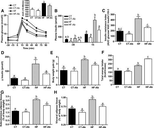 FIG. 6. Antibiotic treatment improved metabolic parameters of diabetes and obesity in high-fat diet–fed mice. A: Plasma glucose (mmol/l) after an oral glucose load (1 g/kg) in mice fed normal diet (CT), normal diet and antibiotics (CT-Ab), high-fat diet (HF), or high-fat diet and antibiotics (HF-Ab) for 4 weeks. The inset represents the area under curve (AUC) of the same groups. B: Plasma insulin concentration (pmol/l) 30 min before (−30) and 15 min after (15) oral glucose administration of the same groups. C: Insulin resistance index. D: Glucose-induced insulin secretion after oral glucose administration. E: Body weight gain. F: Total energy intake. G: Subcutaneous adipose tissue weight (percent body weight). H: Visceral adipose tissue weight (percent body weight) in mice fed normal diet (CT), normal diet and antibiotics (CT-Ab), high-fat diet (HF), or high-fat diet and antibiotics (HF-Ab) for 4 weeks. Data are means ± SE. Data with different superscript letters are significantly different (P < 0.05) according to the post hoc ANOVA statistical analysis.