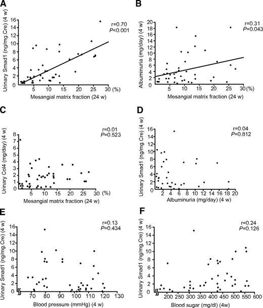 FIG. 4. Association of urinary Smad1 with glomerular expansion in STZ rats. A: The correlation between urinary Smad1 at 4 weeks and mesangial matrix fraction at 24 weeks is shown (r = 0.70, P < 0.001). Smad1 in two consecutive 24-h urine samples in untreated diabetic rats was measured by ELISA and normalized by the amount of creatinine in the same sample. Correlation between albuminuria at 4 weeks and mesangial matrix fraction at 24 weeks (r = 0.31, P = 0.043) (b) or urinary Col4 at 4 weeks (r = 0.01, P = 0.523) (C). D: Correlation between urinary Smad1 and albuminuria at 4 weeks (r = 0.04, P = 0.812). E: Correlation between urinary Smad1 and blood pressure at 4 weeks (r = 0.13, P = 0.434). F: Correlation between urinary Smad1 and blood glucose at 4 weeks (r = 0.24, P = 0.126).