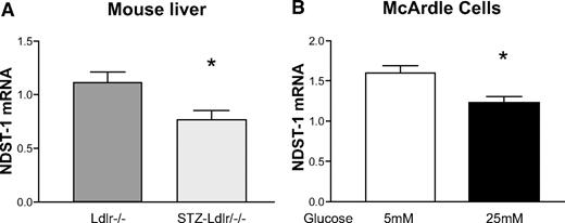 FIG. 6. Ndst1 gene expression. A: Effects of diabetes on hepatic Ndst1 mRNA levels in Ldlr−/− mice. RNA was extracted from samples of liver and Ndst1 mRNA measured by quantitative real-time PCR. (*P < 0.05, n = 6–8/group). B: Effects of high glucose on Ndst1 mRNA levels in hepatoma cells in vitro. McArdle hepatoma cells were cultured for 24 h with 5 or 25 mmol/l glucose medium. (*P < 0.05, n = 6/group). Ndst1 mRNA was normalized to β-actin mRNA.