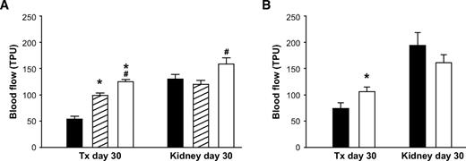 FIG. 2. Blood flow in renal subcapsular islet grafts and adjacent renal cortex 1 month posttransplantation. A: The islet grafts were composed of 250 wild-type (▪), TSP-1+/− (▒), or TSP-1−/− (□) islets. *P ≤ 0.003 when compared with wild-type islets. #P = 0.03 when TSP-1−/− was compared with TSP-1+/−. B: The islet grafts were composed of 250 scramble (▪) or TSP-1 siRNA-transfected (□) islets. *P = 0.04 when compared with scramble siRNA transfected islets. Blood flow values are expressed as TPU. Values are means ± SE for six experiments in each group.