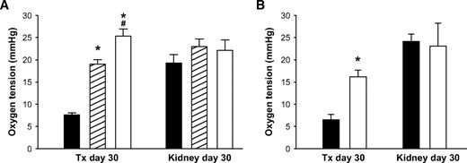 FIG. 3. Oxygen tension in renal subcapsular islet grafts and adjacent renal cortex 1 month posttransplantation. A: The islet grafts were composed of 250 wild-type (▪), TSP-1+/− (▒), or TSP-1−/− (□) islets. B: The islet grafts were composed of 250 scramble (▪) or TSP-1 siRNA-transfected (□) islets. Values are means ± SE for six experiments in each group. *P ≤ 0.001 when compared with control islets (▪) in both A and B. #P = 0.003 when TSP−/− was compared with TSP-1+/−.