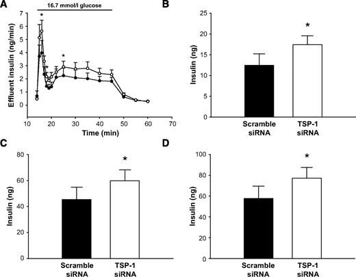 FIG. 5. Functional studies with perfusions of renal subcapsular islet grafts 1 month posttransplantation. A: Insulin release in response to 16.7 mmol/l glucose (bar) from grafts composed of 250 scramble (•) or TSP-1 siRNA-transfected islets (○). B-–D: AUC for the first phase (B) of glucose-stimulated insulin release (min 14–18; *P = 0.006 when compared with control), the second phase (C) of glucose-stimulated insulin release (min 19–50; *P = 0.041 when compared with control), and both the first and second phase (D) of insulin release (min 14–50; *P = 0.025 when compared with control). Values are means ± SE for six experiments with all groups.