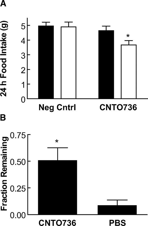 FIG. 4. CNTO736 decreases food intake and delays gastric emptying. A: Fasted GLP-1 receptor knockout (n = 5) (▪) or C57BL/6 mice (n = 6) (□) were dosed subcutaneously with CNTO736 (1 mg/kg) or a negative control (1 mg/kg). Food intake was monitored over 24 h. The results are presented as the means ± SE (n = 5). *P value <0.05. B: Fasted mice (n = 5) were given a preweighed meal and the amount of food consumed in 1 h was measured. The mice were dosed intravenously with CNTO736 (2.4 mg/kg) or vehicle and were killed after 4 h. The wet weight of the stomach contents was measured to determine what percent of the food remained in the stomach as an estimate of gastric emptying. The results are presented as means ± SE (n = 10). *P value <0.05.