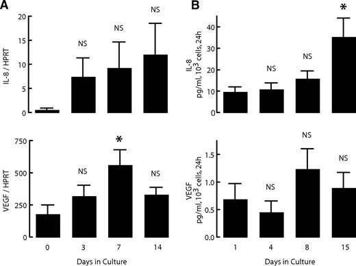 FIG. 1. IL-8 and VEGF expression and release by human pancreatic duct cell preparations during culture. Human pancreatic duct cells were cultured for up to 15 days as described in research design and methods. Cell samples were taken for RNA isolation at indicated times. A: Expression levels of IL-8 and VEGF were measured by real-time PCR and normalized to HPRT. Medium was sampled at the indicated times and assayed for IL-8 and VEGF. B: Values are expressed as picograms per milliliter released by 103 cells over 24 h. Values are means of four independent experiments ± SE. P vs. start (day 0 or day 1): *P ≤ 0.05.
