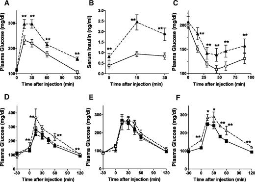 FIG. 1. Cd39/Entpd1−/− mice exhibit impaired glucose tolerance and insulin resistance. A: GTT. B: Plasma insulin levels during GTT. C: ITT. ▴, Cd39/Entpd1−/− mice; □, wild-type mice (9 weeks old, n = 6). d–F: Effects of different nucleotides on GTT in wild-type mice (n = 5–6). D: ⋄, ATP-treated mice; ▴, UTP-treated mice; ▪, saline control. E: ⋄, ADP-treated mice; ▴, UDP-treated mice; ▪, saline control. F: ▵, ARL-67156–treated mice; ▪, saline control. Data are means ± SE. **P < 0.05; *P < 0.1.