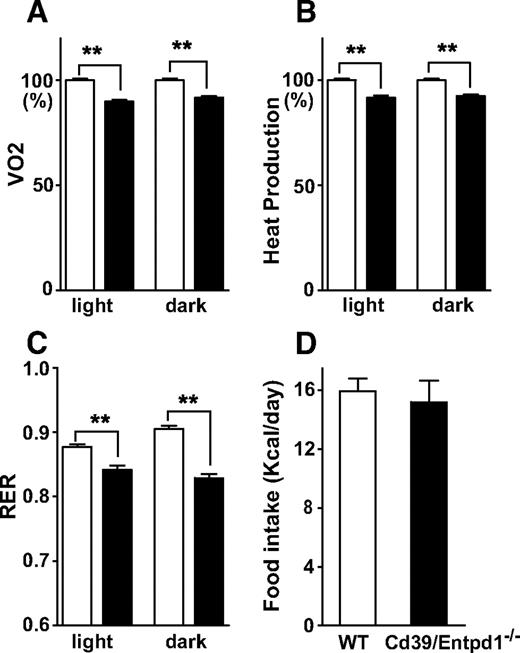 FIG. 2. Calorimetric and functional analyses of Cd39/Entpd1−/− mice. Cd39/Entpd1−/− mice showed decreased energy expenditure. Food uptake did not differ between Cd39/Entpd1−/− and wild-type mice. A: Oxygen consumption. B: Heat generation. C: Respiratory ratio. D: Accumulated food intake over 3 days (n = 6 for wild-type -WT] mice and n = 7 for Cd39/Entpd1−/− mice). Results were analyzed using data from 3 consecutive days. Data are means ± SE. **P < 0.05.