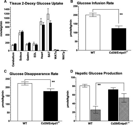 FIG. 3. Cd39/Entpd1−/− mice manifest impaired hepatic glucose homeostasis during hyperinsulinemic-euglycemic clamp. A: Tissue glucose uptake estimated by 2-DG. B: Glucose infusion rate. C: Glucose disappearance rate (Rd). A–C: ▪, Cd39/Entpd1−/− mice; □, wild-type (WT) mice. D: Hepatic glucose production and its suppression by insulin. ▪, Cd39/Entpd1−/− mice; □, wild-type (WT) mice; ▴, with insulin (n = 6 for wild-type and n = 7 for Cd39/Entpd1−/− mice); solid bars, basal. Data are means ± SE. **P < 0.05.