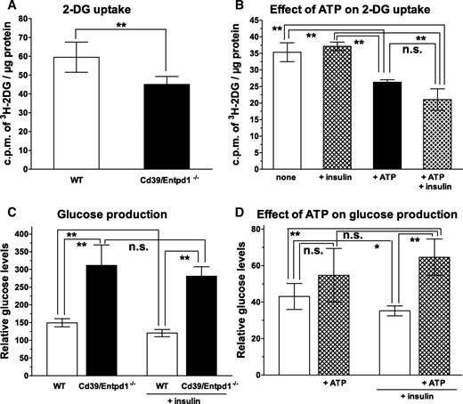 FIG. 5. Effect of extracellular ATP on glucose metabolism in hepatocytes. A: 2-DG uptake by Cd39/Entpd1−/− mice and wild-type (WT) mice hepatocytes. B: Effect of extracellular ATP on 2-DG uptake by wild-type mice hepatocytes. C: Hepatic glucose production of Cd39/Entpd1−/− mice and wild-type (WT) mice hepatocytes and its suppression by insulin. D: Effect of extracellular ATP on glucose production in wild-type hepatocytes. Experiment was performed in triplicate. A and C: ▪, Cd39/Entpd1−/− mice; □, wild-type mice. B and D: □, without ATP; ▪, with ATP. **P < 0.05; *P > 0.05 by ANOVA but P < 0.05 by Student's t test.