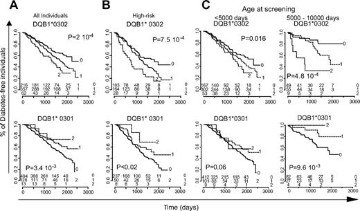 FIG. 2. Diabetes-free survival and HLA-DQB1 genotypes. Diabetes-free survival in all (n = 638) (A) or high-risk (n = 295) (B) individuals screened at age <10,000 days according to their HLA-DQB1*0302 or HLA-DQB1*0301 genotypes. Significance of differences in survival is evaluated by log-rank test. The number of diabetes-free individuals in each category and at distinct time point is shown on the bottom of the figure. C: Disease-free survival in individuals screened at age <5,000 or between 5,000 and 10,000 days, stratified based on their HLA-DQB*0302 or *0301 genotypes.