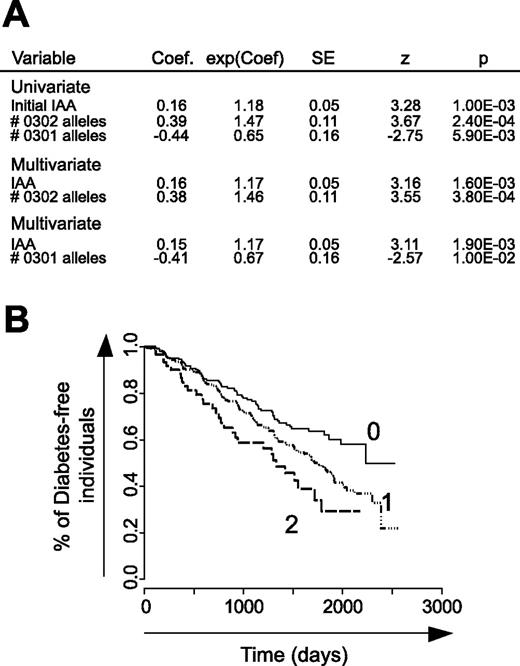 FIG. 4. A: Cox proportional hazard modeling was applied to evaluate the individual contributions of DQB1 status and initial IAA levels to progression toward type 1 diabetes. B: Diabetes-free survival according to DQB1*0302 status fitted on averaged IAA levels in the Cox model.