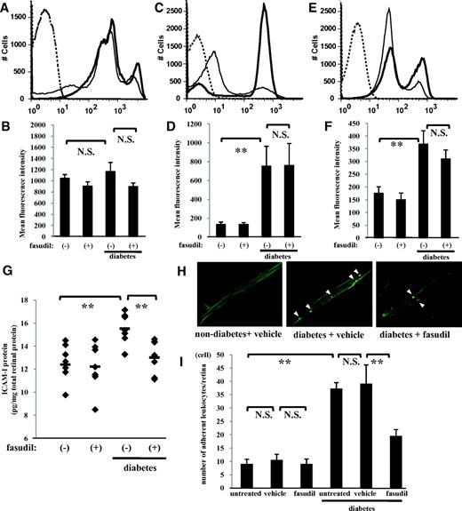 FIG. 3. Reduction of diabetes-induced retinal leukocyte adhesion by fasudil. Intravitreal injections of fasudil at 0 μmol/l (vehicle) or 30 μmol/l (final vitreal concentration) were performed every 3 days for 2 weeks. Cell surface expressions of CD11a (A), CD11b (C), and CD18 (E) on nondiabetic control (thin line) and diabetic rat neutrophils (thick line) were analyzed by flow cytometry. Mean fluorescence intensity of CD11a (B), CD11b (D), and CD18 (F) (**P < 0.01, NS; n = 8 each; dotted line, mouse isotype control). G: Retinal ICAM-1 concentrations measured by enzyme-linked immunosorbent assay in retinas of normal and diabetic animals with and without fasudil treatment (**P < 0.01, n = 7 each). H: Representative ConA-stained flat mounts of normal and diabetic animals with and without fasudil treatment. White arrowhead, firmly adhering leukocytes. I: Quantitative analysis of the number of firmly adhering leukocytes in normal and diabetic rats with and without fasudil treatment (**P < 0.01, NS; n = 7 each). (Please see http://dx.doi.org/10.2337/db08-0762 for a high-quality digital representation of this figure.)