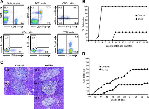 FIG. 1. ATRA treatment inhibits type 1 diabetes. A: Phenotype, cytokine secretion profile, and Foxp3 expression of T-cells present in donor splenocytes used for adoptive transfer. Representative example of splenocytes isolated from more than five new-onset diabetic NOD mice were surface-stained with anti-CD4, -CD8, or -TCR β-chain and intracellular-stained using anti–IFN-γ, –granzyme B, –IL-4, –IL-17, or -Foxp3. B: Cumulative incidence of diabetes in recipient mice adoptively transferred with splenocytes from new-onset diabetic NOD mice with ATRA treatment was significantly different (P = 0.0001) from those without treatment (eight mice per group). Splenocytes were intravenously transferred into NOD/scid mice, treated with ATRA or vehicle on the day of cell transfer. C: Varied degrees of insulitis detected in recipient mice at different time points after cell transfer. H/E staining of pancreatic sections isolated from control or ATRA-treated recipient mice after cell transfer (n = 4 mice/group). There are no control mice available for staining on week 17 after cell transfer, since all control mice developed diabetes by week 4. D: Cumulative incidence of spontaneous diabetes in NOD mice with or without ATRA treatment. NOD mice (10 weeks old) were treated with ATRA or vehicle every other day from day 1 of cell transfer until 30 weeks old. ATRA treatment significantly inhibited spontaneous disease progress in NOD mice (26 mice/group; P = 0.0005). (Please see http://dx.doi.org/10.2337/db08-1154 for a high-quality digital representation of this figure.)