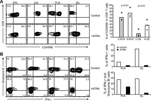 FIG. 3. Effects of ATRA treatment on the functional and activation status of CD8+ T-cells. A: FACS analyses of CD45RB expression. ATRA treatment blocked CD45RB downregulation on CD8+ T-cells in pancreatic lymph nodes (PLN) and islets (ISL) compared with control recipient mice (left). Percentage of CD45RB+ cells in CD8+ T-cells in pancreatic lymph nodes and islets with or without ATRA treatment (right). A, ATRA-treated; C, control; ILN, inguinal lymph nodes; SPL, spleen. B: Intracellular FACS analyses of granzyme B and IFN-γ expression in CD8+ T-cells (left). ATRA treatment resulted in decreased granzyme B and IFN-γ expression in CD8+ T-cells in ISL, PLN, SPL, and ILN of NOD/scid recipient mice. Average percentage of CD8+ cells that expressed IFN-γ or IFN-γ and granzyme B in PLN and ISL with or without ATRA treatment (right) (n = 2) is shown. Control mice developed diabetes, whereas ATRA-treated recipient mice remained diabetes-free at 4 weeks after cell transfer.