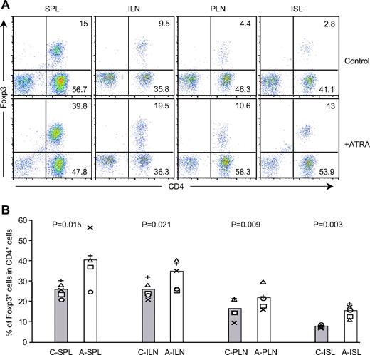 FIG. 6. ATRA treatment significantly increases Foxp3+ Treg cell expansion in animals. A: Intracellular staining of Foxp3 in CD4+ T-cells. Cells were isolated from various tissues of diabetic control or diabetes-free ATRA-treated recipient mice 4 weeks after cell transfer. Cells were electronically gated on TCR+ cells. B: Comparison of the percentage of Foxp3-expressing cells present in various tissues. A, ATRA-treated mice; C, control mice; ILN, inguinal lymph nodes; ISL, islets; PLN, pancreatic lymph nodes; SPL, spleen (n = 5). (Please see http://dx.doi.org/10.2337/db08-1154 for a high-quality digital representation of this figure.)