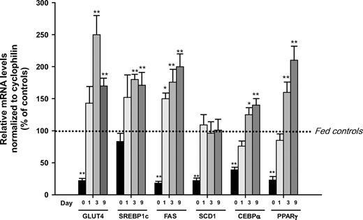 FIG. 7. Time-course gene expression analysis of key genes implicated in adipogenesis and in glucose flux toward lipogenesis during the course of catch-up fat, namely at the end of semistarvation (day 0) and on days 1, 3, and 9 of refeeding. The data in EWAT from semistarved (day 0) or refed animals (days 1, 3, and 9) are expressed as a percentage of that of the respective fed controls (represented as 100%; dotted line). Values are means ± SE (n = 6–8); for each time-point, statistical significance of differences are relative to fed controls and indicated as follows: *P < 0.05; **P < 0.01 as assessed by unpaired t test.