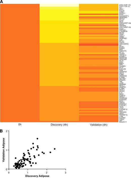 FIG. 3. Comparison between endotoxin-induced adipose mRNA fold change in discovery versus validation study. A: Heatmap depicting direct comparison of 4 h log10 expression changes of 86 high-priority genes in discovery study versus validation study, ranked in order of log10 fold change in discovery study. The National Center for Biotechnology Information gene identification names are listed on the right. Time 0 values are set to one (log10 changes = 0). Color coding: 0 is set to orange as seen at baseline, yellow indicates upregulation, red indicates downregulation. B: Correlation (Spearman) between log10 peak fold change of 85 detectable genes in discovery versus validation study. r = 0.64; P < 0.0001.