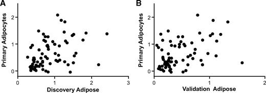 FIG. 4. Comparison between endotoxin-induced mRNA fold change in human adipose versus primary adipocytes. A: Spearman correlation between log10 peak fold change of 77 detectable genes in primary human adipocytes (after 100 ng/ml LPS) and human adipose in discovery study (3 ng/kg endotoxin). r = 0.49; P < 0.0001. B: Correlation between log10 peak fold change of 77 detectable genes in primary human adipocytes (after 100 ng/ml LPS) and human adipose in validation study (0.6 ng/kg endotoxin). r = 0.42; P < 0.0001.