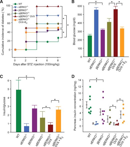 FIG. 4. E2 protects female mice from STZ-induced diabetes in the absence of ERα and ERβ. A: Cumulative incidence of diabetes in female αERKO−/−, βERKO−/−, and double αβERKO−/− mice after STZ challenge. B: Random-fed blood glucose (day 8). C: The ratio of random-fed insulin and glucose (day 8). D: Pancreas insulin concentration (day 8). WT, wild type.