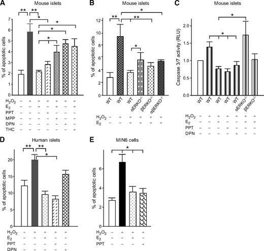 FIG. 5. E2 protects cultured islets from apoptosis in the absence of ERα and ERβ. A: Percentage of apoptotic cells in cultured mouse islets incubated with vehicle, E2 (10−8M), PPT (10−8M), MPP (10−7M), DPN (10−8M), or THC (10−7M) for 48 h, followed by exposure to H2O2 (100 μmol/l) for the last 5 h. B: Percentage of apoptotic cells in wild-type, αERKO−/−, βERKO−/−, and αβERKO−/− mouse islets. C: Caspase 3/7 activity was measured in mouse islets by luminescence. D: Percentage of apoptotic cells in cultured human islets and (E) in MIN6 cells. Values represent three independent replicate experiments. *P < 0.05, **P < 0.01. WT, wild type.