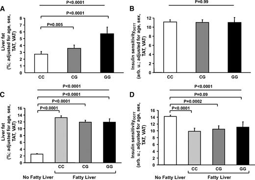 FIG. 1. Relationships of the SNP rs738409 C>G (Ile148Met) in PNPLA3 with liver fat (A) and insulin sensitivity (B) in all 330 subjects (TAT, total adipose tissue; VAT, visceral adipose tissue). Liver fat content in subjects without and with fatty liver and the relationship of the SNP rs738409 with liver fat content in subjects having fatty liver (C). Insulin sensitivity in subjects without and with fatty liver and the relationship of the SNP rs738409 with insulin sensitivity in subjects having fatty liver (D).
