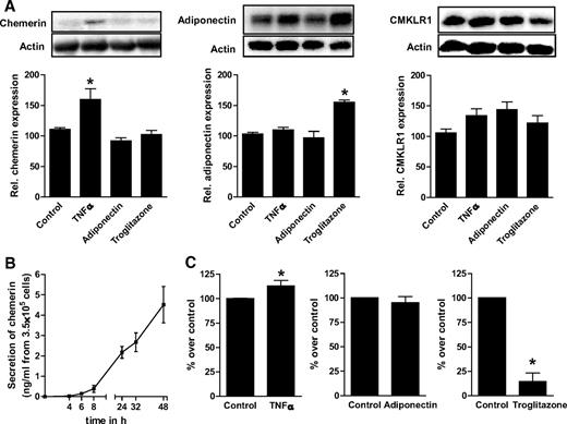 FIG. 2. Regulation of chemerin and CMKLR1 expression and chemerin secretion in human adipocytes. A: Human adipocytes from different donors were differentiated and incubated with either 2.5 nmol/l TNF-α, 5 nmol/l adiponectin, or 5 μmol/l troglitazone overnight. Total cell lysates were resolved by SDS-PAGE. Western blots for chemerin, adiponectin, and CMKLR1 as well as normalization for actin are shown. Data are the means ± SEM of three to four independent experiments. All data were normalized to the level of actin expression and are expressed relative to the unstimulated control. *Significantly different from control. B: Human adipocytes from different donors were differentiated, and conditioned medium was collected after different periods of incubation. The release of chemerin was analyzed using a chemerin ELISA. Data are the means ± SEM of three independent experiments. C: Human adipocytes from different donors were treated with 2.5 nmol/l TNF-α, 5 nmol/l adiponectin, or 5 μmol/l troglitazone overnight, and the conditioned medium was collected for chemerin measurement. Data are the means ± SEM of three independent experiments. All data are expressed relative to the unstimulated control. *Significantly different from control.