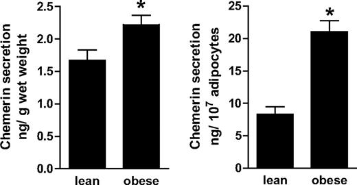 FIG. 3. Secretion of chemerin from adipose tissue explants derived from lean and obese female subjects. Adipose tissue explants were treated as detailed in the research design and methods section, and the release of chemerin was measured by ELISA. Data are the means ± SEM of tissue explants from 53 individuals. *Significantly different from lean control subjects.