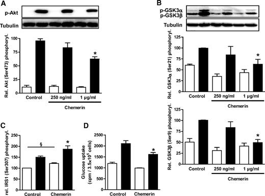 FIG. 5. Effect of chemerin on insulin signaling and glucose uptake in human skeletal muscle cells. A: Myocytes from different donors were cultured with increasing concentrations of chemerin (250 ng/ml and 1 μg/ml) for 24 h. After acute stimulation with insulin, total cell lysates were resolved by SDS-PAGE and immunoblotted with phosphospecific Akt antibody and tubulin antibody. Data are the means ± SEM of five independent experiments. All data were normalized to the level of tubulin expression and are expressed relative to the insulin-stimulated control value. B: Myocytes from different donors were cultured as outlined in A. After acute stimulation with insulin, total cell lysates were resolved by SDS-PAGE and immunoblotted with phosphospecific GSK3 antibody and GSK3 antibody. Data are the means ± SEM of four independent experiments. All data were normalized to the level of tubulin expression and are expressed relative to the insulin-stimulated control value. C and D: Skeletal muscle cells were cultured for 24 h in absence or presence of chemerin (1 μg/ml). IRS-1 phosphorylation and glucose uptake was assessed after acute stimulation with insulin, as outlined in the research design and methods section. Data are the means ± SEM of three independent experiments. *Significantly different from insulin-stimulated control; §significantly different from respective insulin-stimulated control. ■, insulin; □, basal.