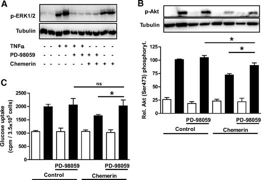 FIG. 8. Prevention of chemerin-induced insulin resistance by ERK inhibition. A: Skeletal muscle cells from different donors were precultured with or without 50 μmol/l of the specific ERK inhibitor PD 98059 for 15 min before starting the administration with chemerin or TNF-α. The cells were then treated with chemerin for 30 min and as a control with 2.5 nmol/l TNF-α for 10 min. Total cell lysates were resolved by SDS-PAGE and immunoblotted with a phosphospecific antibody for ERK-1/2 and tubulin for loading control. Representative blots are shown. B and C: After pretreatment for 15 min with PD 98059 (50 μmol/l), skeletal muscle cells from different donors were treated with chemerin overnight. After insulin stimulation, total cell lysates were resolved by SDS-PAGE and immunoblotted with a phosphospecific antibody for Akt and tubulin for loading control. Representative blots are shown. Data are the means ± SEM of four independent experiments. Glucose uptake was measured as outlined in the research design and methods section. Data are the means ± SEM of three independent experiments. *Significantly different from respective insulin-stimulated control. ■, insulin; □, basal.
