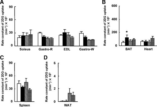 FIG. 2. Effects of leptin injection into the ARC, DMH, or PVH on glucose uptake in peripheral tissues. The rate constant of 2[3H]DG uptake was measured in skeletal muscle (A), BAT and heart (B), spleen (C), and epididymal WAT (D) at 6 h after injection of leptin into the hypothalamic nuclei of mice. Results obtained after injection of saline into the ARC are shown as a control. Data are means ± SE for six or seven mice. *P < 0.05 vs. the corresponding value for control animals injected with saline into ARC. □, Saline ARC; ■, leptin ARC; ▧ leptin DMH; ⊞, leptin PVH.