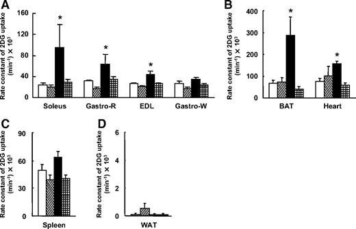FIG. 4. Effect of intracerebroventricular injection of SHU9119 on glucose uptake in peripheral tissues induced by injection of leptin into the VMH. The rate constant of 2[3H]DG uptake in skeletal muscle (A), BAT and heart (B), spleen (C), and epididymal WAT (D) was measured 6 h after injection of leptin or saline (control) into the VMH. The effect of SHU9119 was determined by intracerebroventricular injection immediately before injection of leptin. Data are means ± SE for six or seven mice. *P < 0.05 vs. the corresponding value for saline-injected control animals. □, Saline VMH; ▧, SHU9119 i.c.v.; ■, leptin VMH; ⊞, leptin VMH + SHU9119 i.c.v.