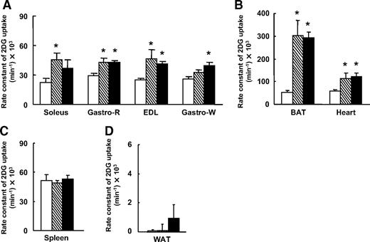 FIG. 5. Effects of intracerebroventricular injection of MT-II on glucose uptake in peripheral tissues. The rate constant of 2[3H]DG uptake in skeletal muscle (A), BAT and heart (B), spleen (C), and epididymal WAT (D) was measured at 3 or 6 h after intracerebroventricular injection of MT-II or saline (control). Data are means ± SE for six or seven mice. *P < 0.05 vs. the corresponding value for saline-injected control animals. □, Saline i.c.v. (6 h); ▧, MT-II i.c.v. (3 h); ■, MT-II i.c.v. (6 h).