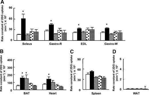 FIG. 6. Effects of MT-II injection into VMH, PVH, DMH, or ARC on glucose uptake in peripheral tissues. The rate constant of 2[3H]DG uptake in skeletal muscle (A), BAT and heart (B), spleen (C), and epididymal WAT (D) was measured at 6 h after the injection of MT-II into the individual hypothalamic nuclei. Injection of saline into VMH was used as a control. Data are means ± SEM for six or seven mice. *P < 0.05 vs. the corresponding value for saline-injected control animals. □, VMH; ■, MT-II VMH; ▧, MT-II PVH; ⊡, MT-II DMH; ⊞, MT-II ARC.