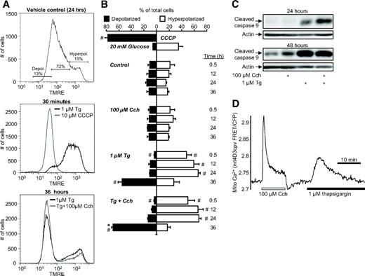 Roles of IP3R and RyR Ca2+ Channels in Endoplasmic Reticulum Stress and ...