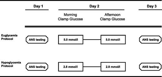 FIG. 1. Study design. Subjects participated in two, 3-day/2-night protocols separated in time by 1–3 months. Subjects were randomized by admission to participate in either euglycemic (target blood glucose 5.0 mmol/l)-hyperinsulinemic clamp studies or hypoglycemic (target blood glucose 2.8 mmol/l)-hyperinsulinemic clamp studies on day 2. Autonomic nervous system (ANS) testing was conducted on days 1 and 3 by investigators unaware of whether a subject was participating in the euglycemia or hypoglycemia protocol.