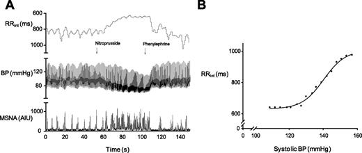 FIG. 2. A: R-R interval (RRint), systolic blood pressure (BP), and muscle sympathetic neurogram (MSNA) recording from a representative subject during the modified Oxford procedure. The timing of the nitroprusside and phenylephrine administration is marked by arrows. AIU, arbitrary integration units. B: The relationship between systolic BP and RRint during the rising portion of the BP trace in this subject is shown. The slope of the linear portion of the sigmoid curve is the measure of the baroreflex sensitivity.