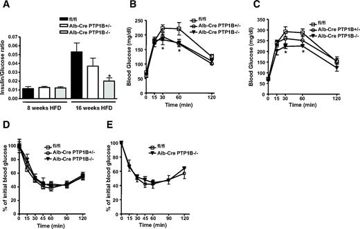 FIG. 2. Improved glucose homeostasis in Alb-Cre-PTP1B−/− mice. A: Insulin-to-glucose ratio in male Alb-Cre-PTP1B−/− (n = 13), Alb-Cre PTP1B+/− (n = 8), and fl/fl (n = 14) mice on HFD at 8 and 16 weeks of age, respectively. B: GTTs on male Alb-Cre-PTP1B−/− (n = 6), Alb-Cre PTP1B+/− (n = 6), and fl/fl control mice (n = 8) on chow diet at 8 weeks of age. C: GTTs on male Alb-Cre-PTP1B−/− (n = 6), Alb-Cre PTP1B+/− (n = 8), and fl/fl mice (n = 8) on HFD for 8 weeks (11 weeks of age). D: ITTs on male Alb-Cre-PTP1B−/− (n = 6), Alb-Cre PTP1B+/− (n = 6), and fl/fl mice (n = 8) on chow diet at 8 weeks of age (insulin dose 0.75 mU/g). E: ITTs on male Alb-Cre-PTP1B−/− (n = 6) and fl/fl mice (n = 8) on HFD for 7 weeks (10 weeks of age) (insulin dose 1 mU/g). Data were analyzed by two-way ANOVA (*P < 0.05 for Alb-Cre-PTP1B−/− vs. fl/fl).
