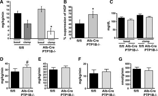 FIG. 3. Hyperinsulinemic-euglycemic clamp studies. Alb-Cre-PTP1B−/− (n = 15) and fl/fl control (n = 13) mice on chow diet at 18–20 weeks of age were subjected to hyperinsulinemic-euglycemic clamp studies (see research design and methods). A: Hepatic glucose production. B: Hepatic insulin action (percent suppression of hepatic glucose production). C: Basal and clamp blood glucose levels. D: Whole-body glucose infusion rate. E: Whole-body glucose turnover. F: Whole-body glycogen and lipid synthesis. G: Glucose uptake into gastrocnemius muscle. Results are mean ± SE. Data were analyzed by one-tailed Student's t test (*P < 0.05; #P = 0.052).