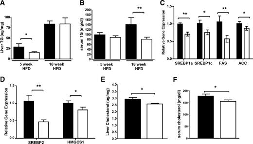 FIG. 5. Improved lipid metabolism in Alb-Cre-PTP1B−/− mice. Liver triglycerides (A) or serum triglycerides (B) are shown for male Alb-Cre-PTP1B−/− (n = 8) and control (n = 8) mice fed HFD for the indicated time in weeks. C and D: Relative mRNA levels, measured by quantitative real-time PCR normalized against 18S mRNA, in livers from male Alb-Cre-PTP1B−/− (n = 8) and fl/fl control mice (n = 8) fed HFD for 15 weeks (18 weeks of age) and fasted overnight. Liver (E) and serum (F) cholesterol in male Alb-Cre-PTP1B−/− (n = 8) and fl/fl control mice (n = 8) on HFD for 15–17 weeks (18–20 weeks of age) is shown. Results represent the means ± SE. Data were analyzed by two-tailed Student's t test (*P < 0.05, **P < 0.01). ▪, fl/fl; □, Alb-Cre PTP1B−/−.