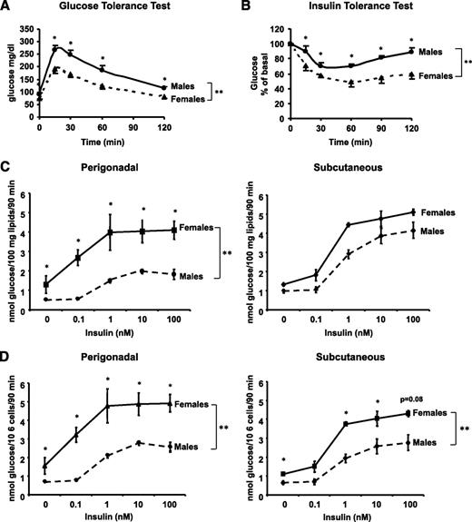 FIG. 1. Female mice and female adipocytes have increased insulin sensitivity. Glucose tolerance test was performed after an overnight fast. Mice received an intraperitoneal injection of 2 g/kg body wt glucose. Blood glucose was measured from tail vein samples at the indicated times (A). Insulin tolerance test was performed on random-fed mice. Animals received injections of 1 unit/kg body wt insulin. Blood glucose was measured at the indicated time points (B). Data points are means ± SE with eight mice in each group. Adipocytes from PG and SC fat were isolated from male and female mice and stimulated with or without insulin in the presence of 14C-glucose for 90 min as described in research design and methods. Radioactive glucose incorporated into lipids was measured for each condition in the extracted lipids and normalized to total lipid content (C) or to cell number (D) as determined by counting of osmic acid fixed cells, n = 3. **P < 0.01 by repeated-measures ANOVA. *P < 0.05 by Student's t test for point-to-point comparisons.